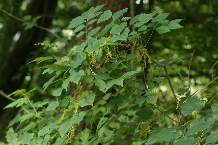 e0054067_22172957.jpg