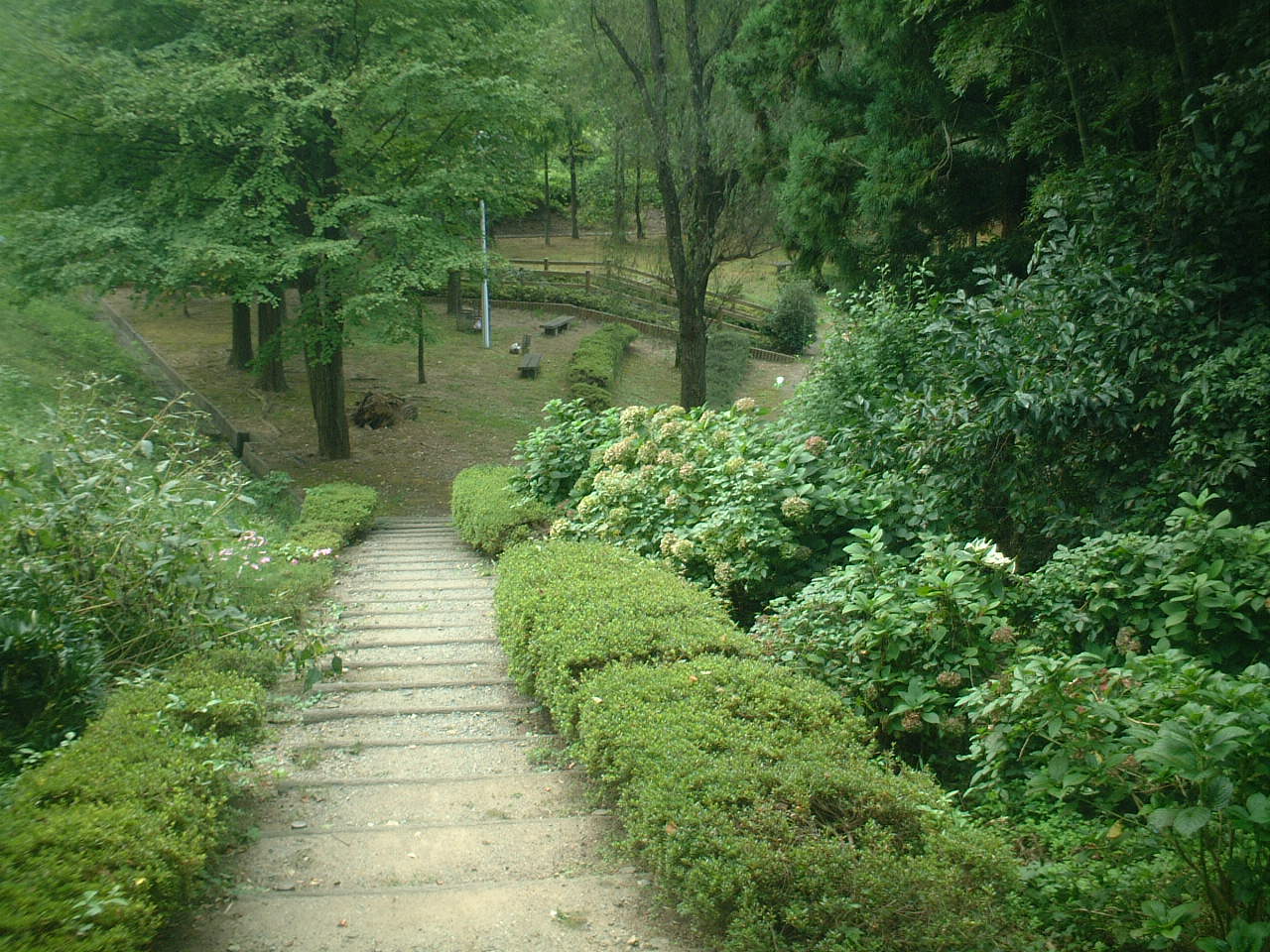 b0149071_82793.jpg