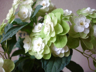 f0003174_15513150.jpg