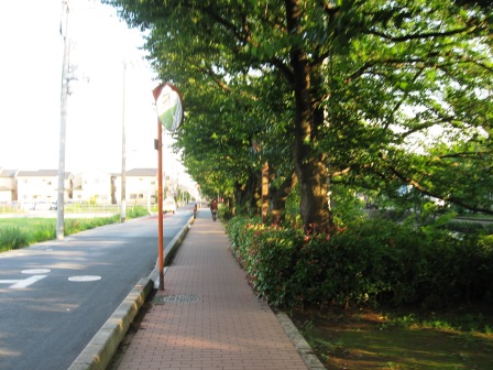 b0082484_2140495.jpg