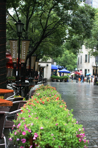 f0093592_19419.jpg