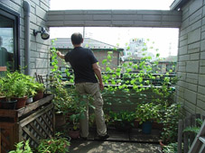c0096393_22365720.jpg