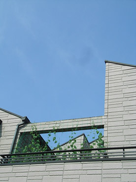 c0096393_22392554.jpg
