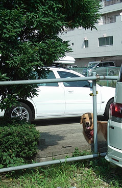 c0096393_22421262.jpg