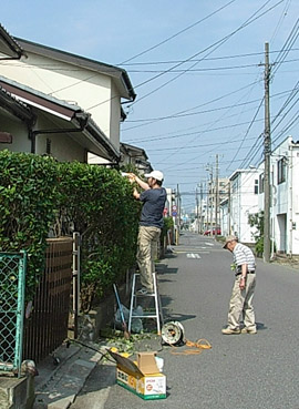 c0096393_22583831.jpg