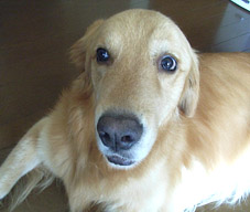 c0096393_23410100.jpg