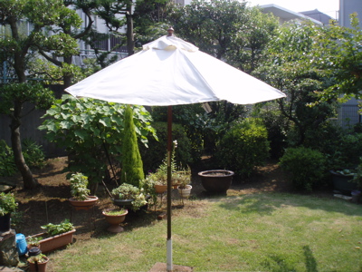 f0130894_2054569.jpg