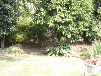 f0130894_20563897.jpg