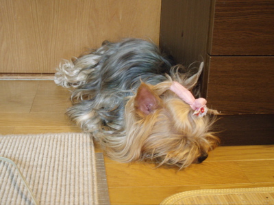 f0130894_2058097.jpg