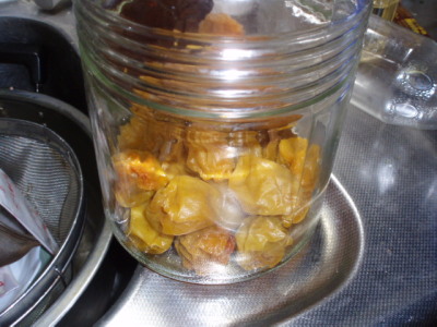 c0086895_9323416.jpg
