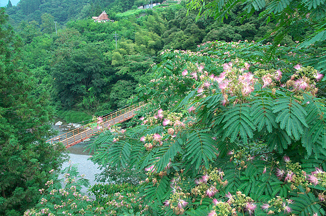 d0146295_21342688.jpg