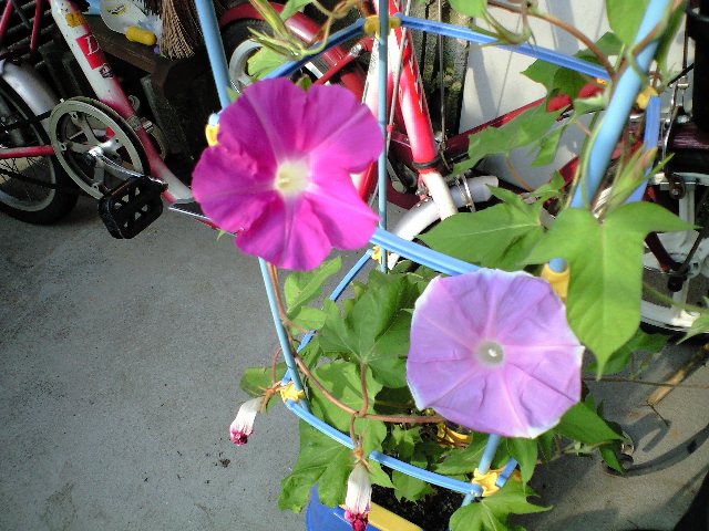 f0042295_21304289.jpg