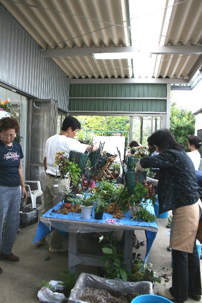 f0054197_735076.jpg
