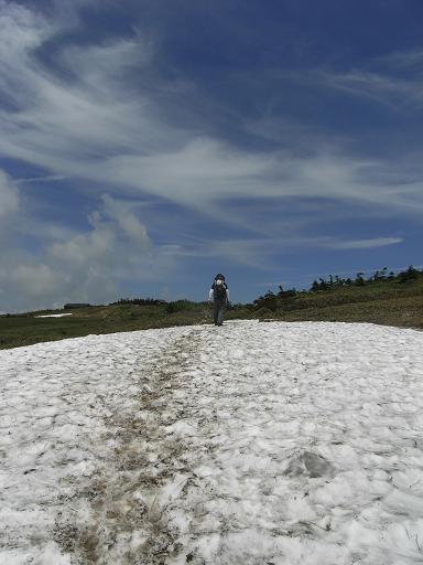 b0116703_7254240.jpg