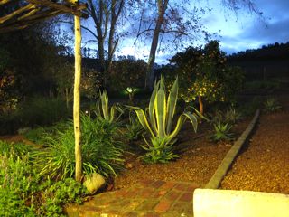 b0142203_109333.jpg