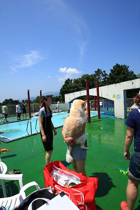 e0117503_1202539.jpg