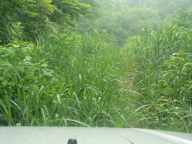 f0164503_231117.jpg