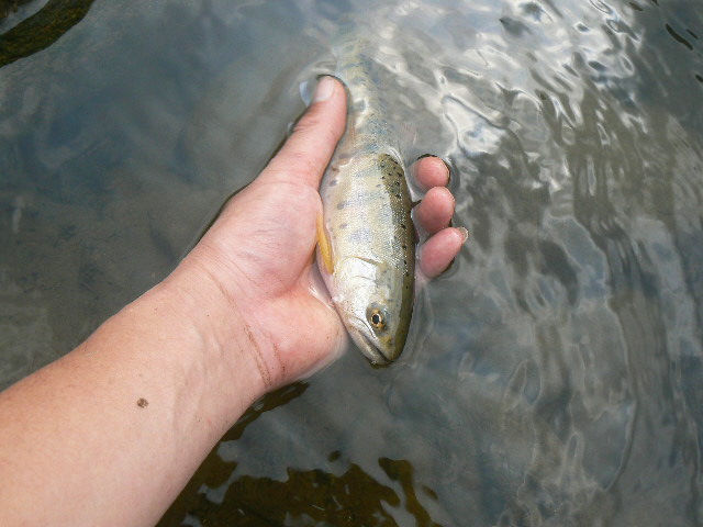 f0164503_23132082.jpg
