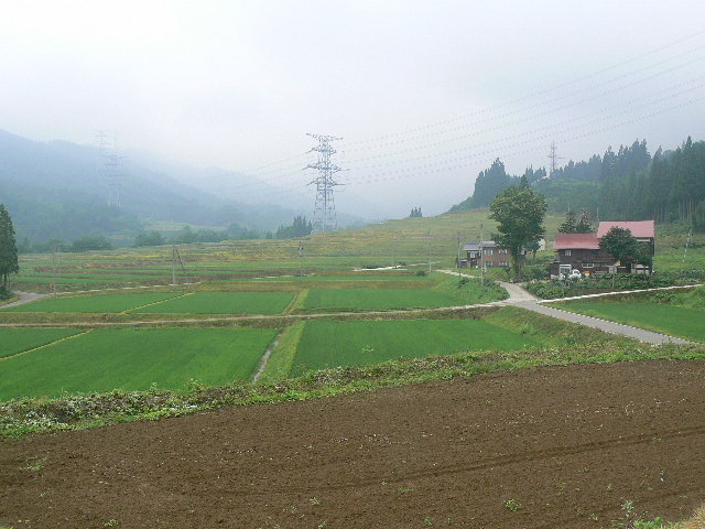 f0164503_2354260.jpg