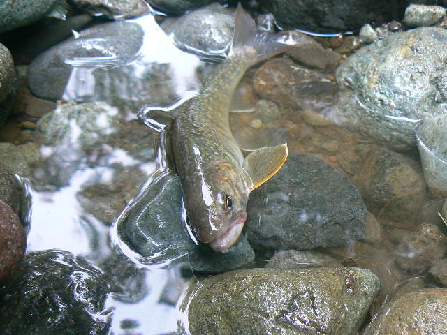 f0164503_239454.jpg