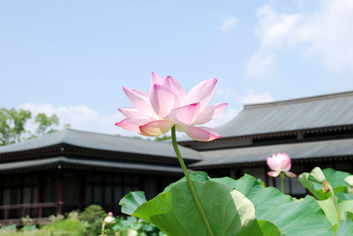b0014607_2052137.jpg
