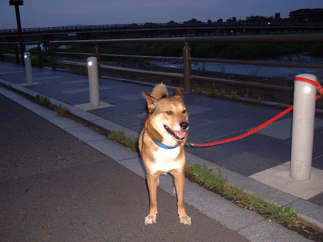 f0173908_611636.jpg