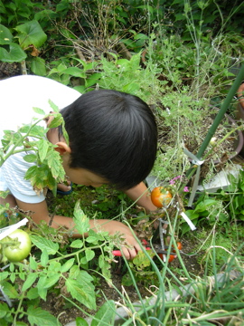 c0145209_10373596.jpg