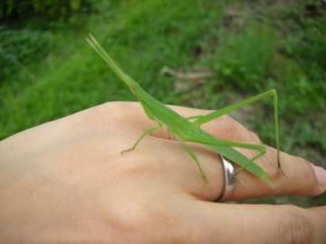 c0145209_10474330.jpg