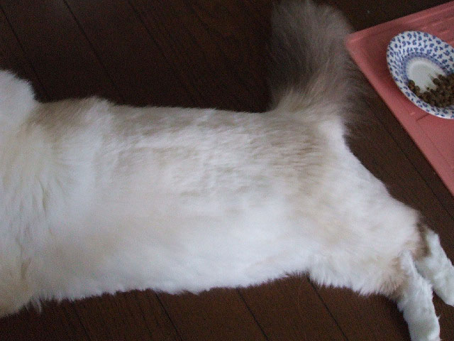 e0012610_0473953.jpg