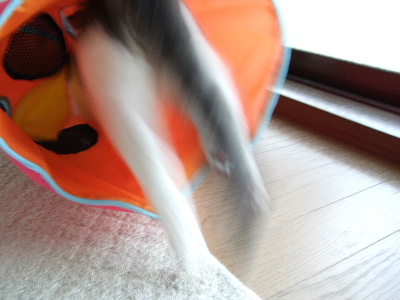 c0006312_18421393.jpg