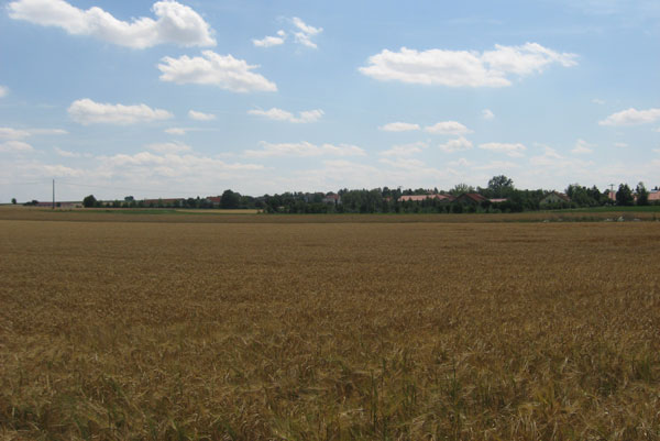 f0035016_6362832.jpg