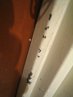 c0012120_2123553.jpg