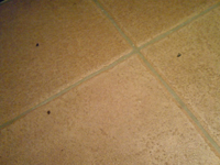 c0012120_2155321.jpg
