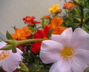 d0024220_20104713.jpg