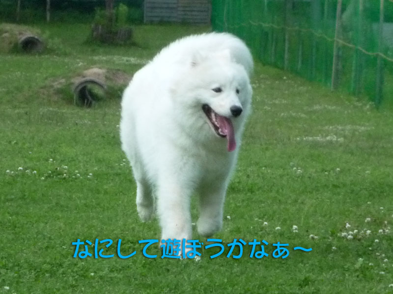b0146024_0204543.jpg