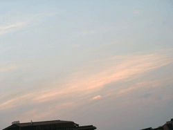 d0002224_2011597.gif