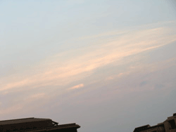 d0002224_2013484.gif