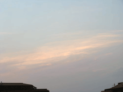 d0002224_2015353.gif