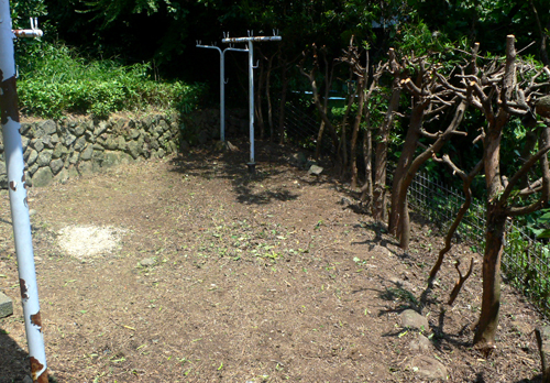 f0060424_5455863.jpg