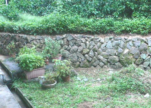 f0060424_6111835.jpg
