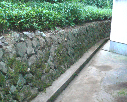 f0060424_612175.jpg