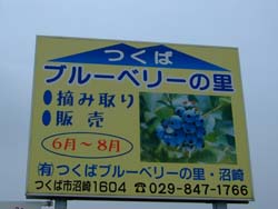 f0147025_18152693.jpg