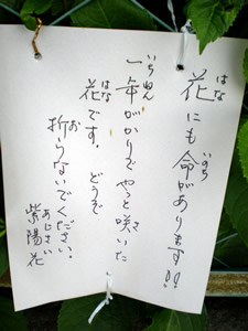 d0035245_16293176.jpg