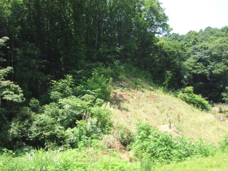 a0044046_23315379.jpg
