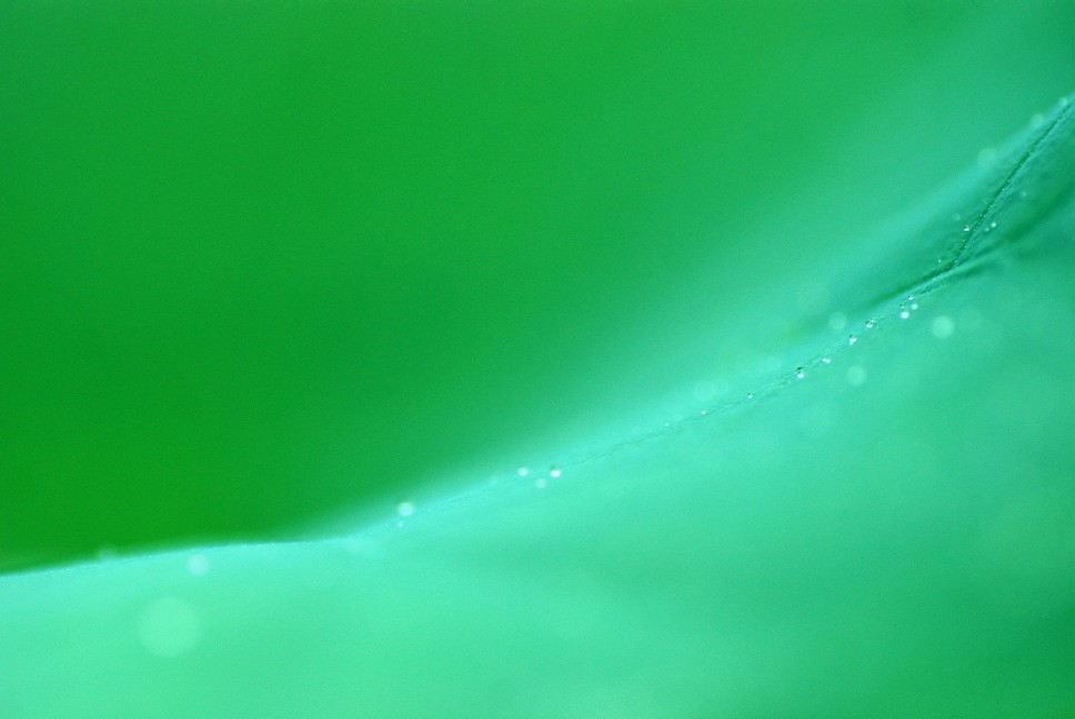 e0009147_1652357.jpg