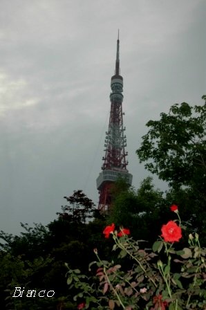 d0118050_11291476.jpg