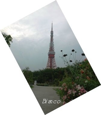 d0118050_11295424.jpg