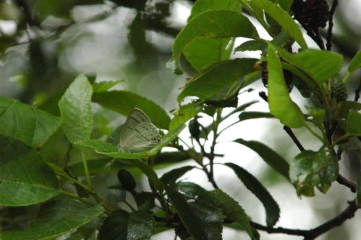 d0098057_4442872.jpg