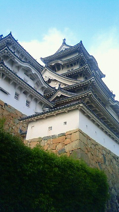 f0149057_233086.jpg