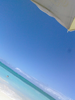 c0051759_135102.jpg